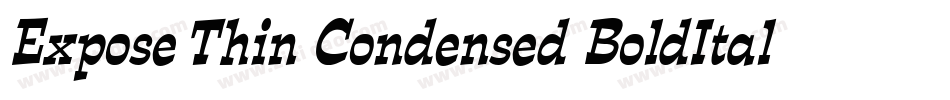 Expose Thin Condensed BoldItalic字体转换